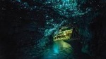 Private Tour: Waitomo Caves Day Trip from Auckland
