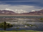 Explore Salar de Tara (Tara Salt Flat), Chile
