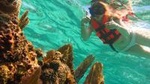 Snorkeling Adventure from Cancun and Riviera Maya