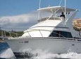 Half-Day Sport Fishing Tour from Flamingo Beach