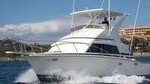 Half-Day Sport Fishing Tour from Flamingo Beach