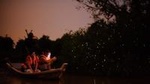 Private Tour: Kuala Selangor Firefly Blinkings including Seafood Dinner