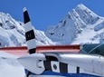 45-Minute Glacier Highlights Ski Plane Tour from Mount Cook