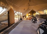 Stay at Linkwasha Camp, Hwange, Zimbabwe