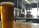Drink Beer at Culver Beer Company, Carlsbad, California