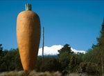 See The Big Carrot, Ohakune, New Zealand