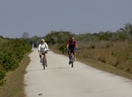 Bike Shark Valley Scenic Loop, Everglades National Park, Florida