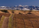 Wine Taste at Greywacke, Marlborough, New Zealand