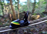 Ride Bobsled at Mystic Mountain Rain Forest, Jamaica