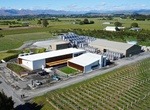 Wine Taste at Whitehaven Wine Company, Marlborough, New Zealand