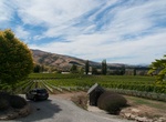 Wine Taste at Felton Road, Central Otago, New Zealand