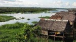 3-Day Amazon Jungle Adventure from Iquitos