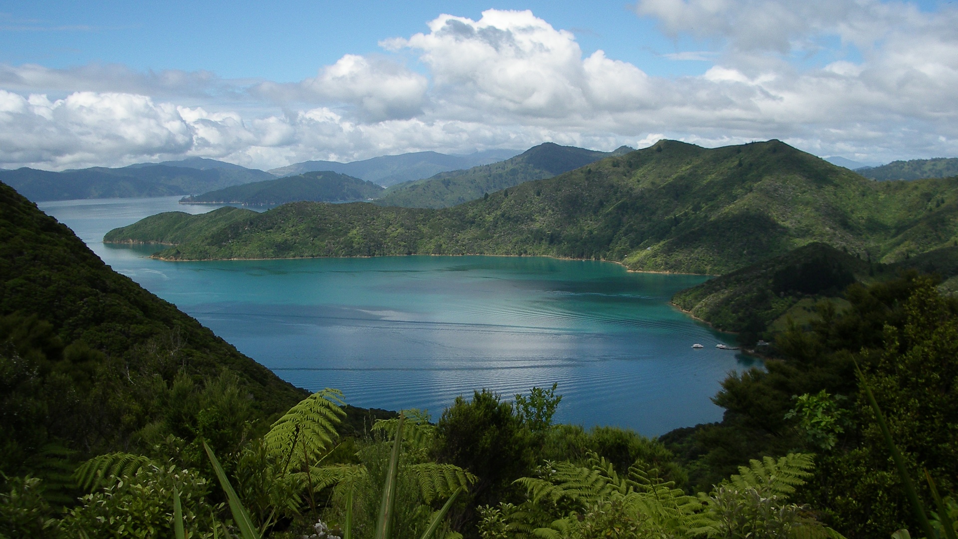 Queen Charlotte Track
