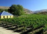 Wine Taste at Domain Road Vineyard, Central Otago, New Zealand