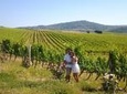 Brunello Vineyards Bus Tour