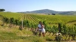 Brunello Vineyards Bus Tour