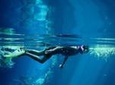 Cozumel Snorkeling Tour from Playa del Carmen