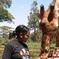 Day Tour: Giraffe Center, Elephant Orphanage and Nairobi National Park