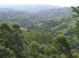 Durban Shore Excursion: Valley of 1000 Hills and PheZulu Tour