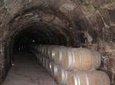 Guided Wine Day Tour to Ribera del Duero from Madrid