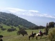 Horse Riding Tour in the Andes Santiago Chile