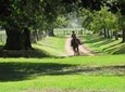Private Day Tour to an Argentinian Estancia
