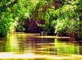 Private Day Trip to Tigre Delta from Buenos Aires