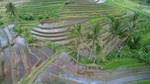 BALI INSTAGRAM TOURS; Heaven Gate, Tirta Gangga, Tukad Cepung waterfall