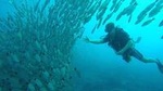 Scuba Diving at Playa Hermosa, Coco and Ocotal Beach