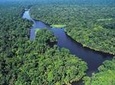 The Real Tortuguero National Park One Day Tour