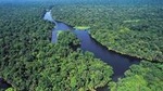The Real Tortuguero National Park One Day Tour