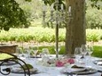 San Gimignano Wine Tasting Experience with Food