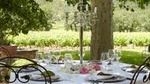 San Gimignano Wine Tasting Experience with Food