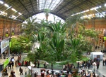 Visit Old Madrid Atocha Railway Station, Spain