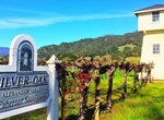 Wine Taste at Silver Oak Cellars (Alexander Valley), California