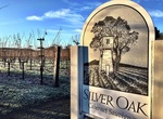 Wine Taste at Silver Oak Cellars (Oakville), California
