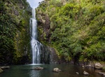 Walk to Kitekite Falls, New Zealand