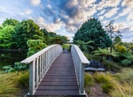 Visit Auckland Botanic Gardens, New Zealand