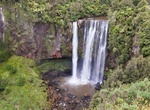 Walk to Omaru Falls, New Zealand
