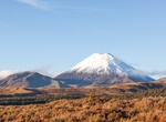 Summit Mount Ngauruhoe, Tongariro National Park, New Zealand