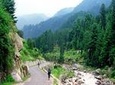 6-Night Private Himachal Pradesh Tour from New Delhi