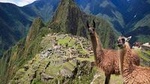 7-Day Peru Deep Dive: Lima, Cusco, Sacred Valley, and Machu Picchu Tour