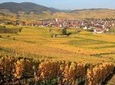 Alsace Half Day Wine Tour from Colmar