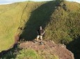 Half-Day Volcano Tour from Auckland