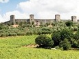 Chianti and Castle Tour from Siena