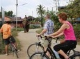 Colors of Ayutthaya Full-Day Bike Tour