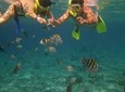 Cozumel Snorkel Adventure from Cancun