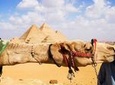 Day Tour to Cairo from Hurghada by Flight