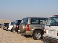 Desert Safari with Overnight Camping from Doha