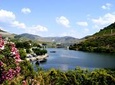 Douro Valley Small-Group Tour with Wine Tasting, Lunch and Optional Cruise.